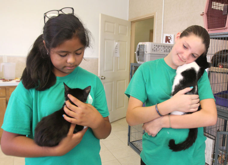 Pet Adoptions